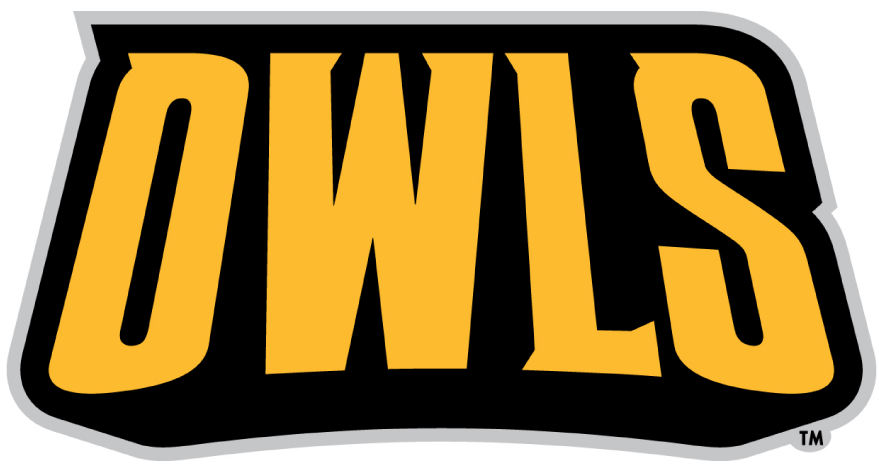 Kennesaw State Owls 2012-Pres Wordmark Logo t shirts DIY iron ons